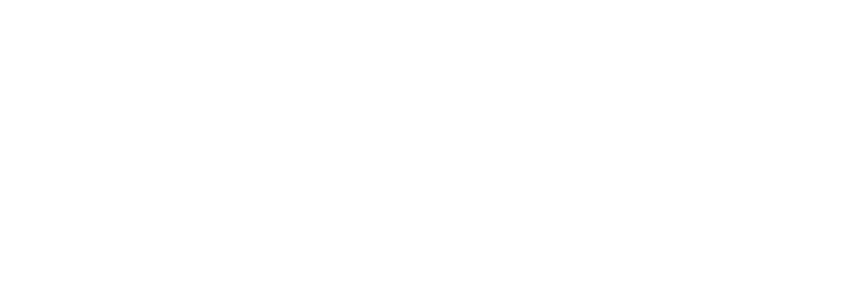DMC Web Logo (White)